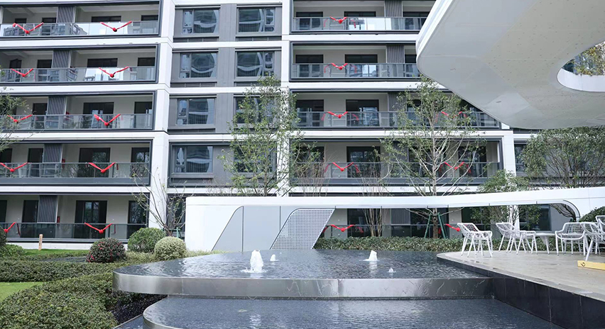 项目展示