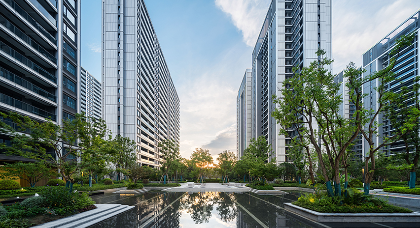 项目展示