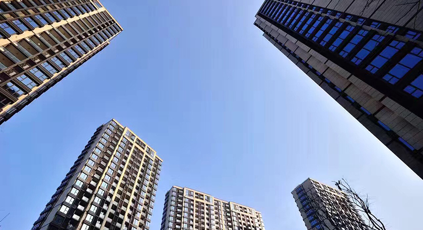 项目展示