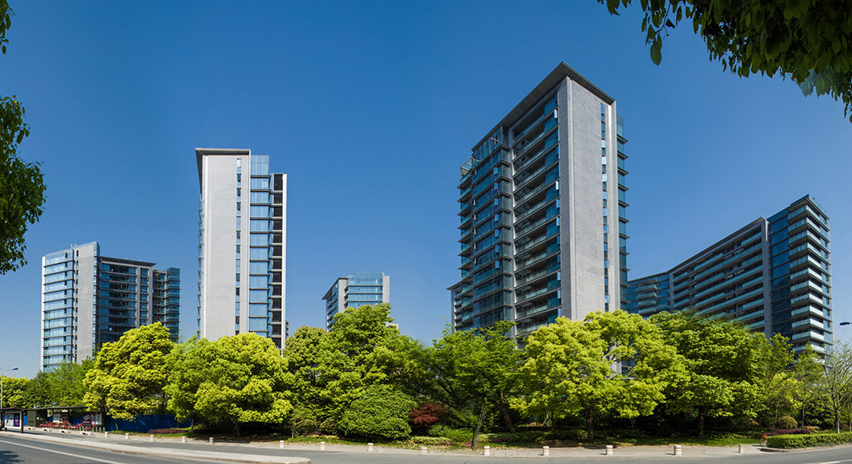 项目展示