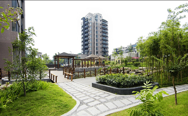 项目展示