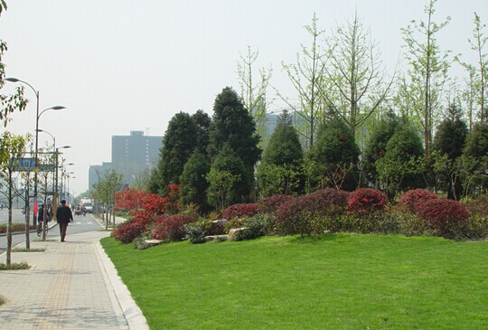 项目展示