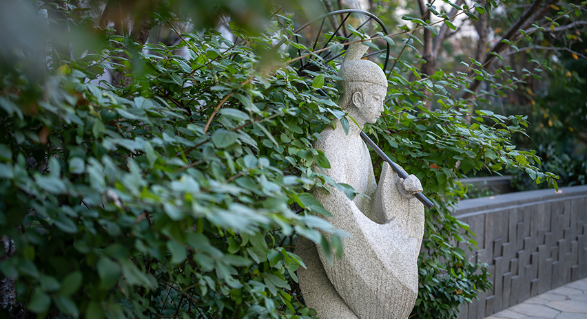项目展示