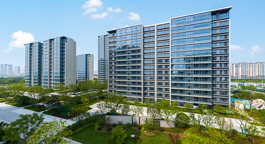 项目展示