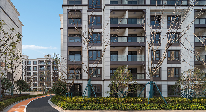 项目展示