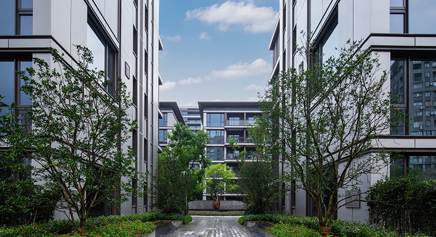 项目展示