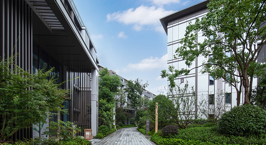 项目展示