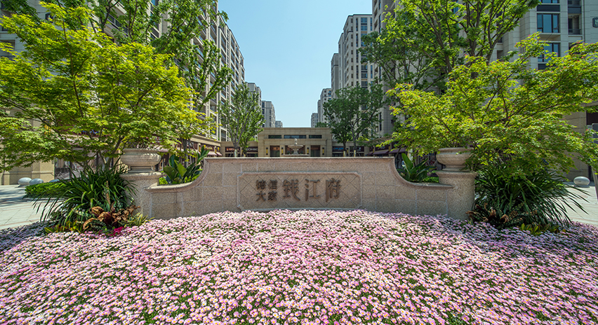 项目展示